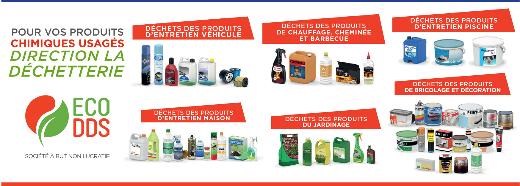 eco dds