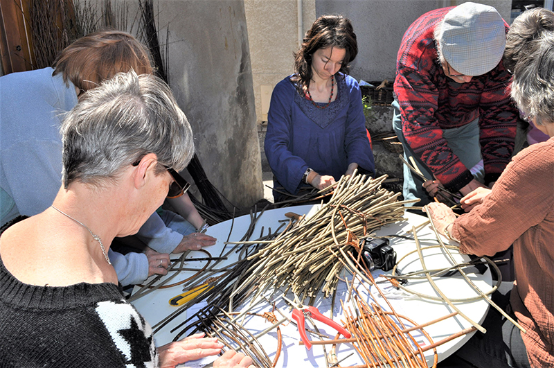 expo plantes2